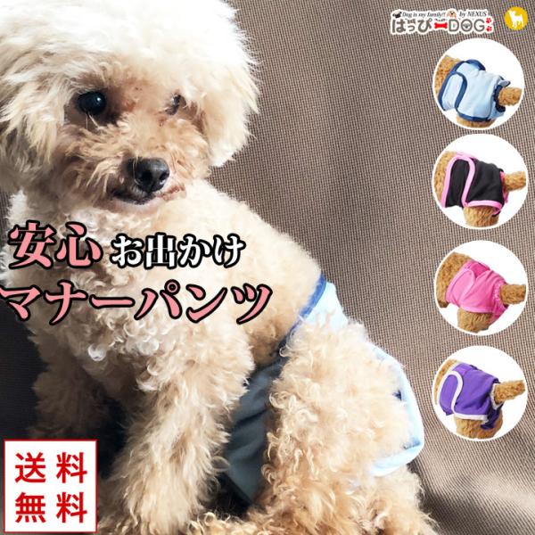 マナーカバー マナーパンツ マナーベルト マナーバンド おむつ オムツ おしっこ対策 犬服 トイプー...