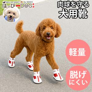 犬 服 秋冬 秋 冬 夏 犬靴 靴下 ソックス スニーカー 肉球やけど防止