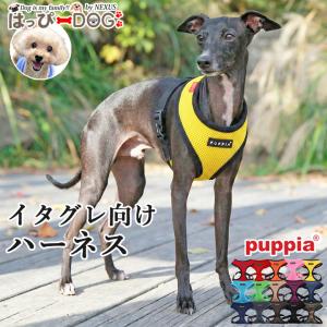 Sランク UTSUMI ウツミ 内海 ER700シザー 7.0インチ 右利き 中古