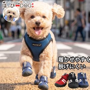 Truelove（トゥルーラブ） 犬 靴 ドッグシューズ 脱げない ワンちゃん