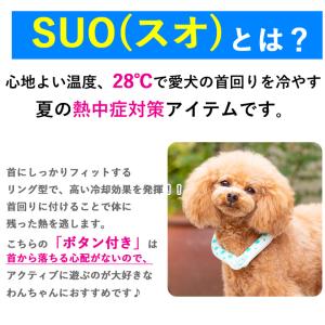 クールネック 犬 クールリング 犬用 SUO ...の詳細画像1