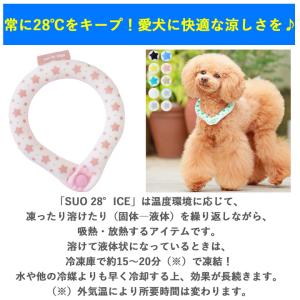 クールネック 犬 クールリング 犬用 SUO ...の詳細画像3