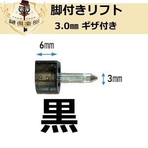 MNT/ 脚付きリフト ピンヒール 3.0mm...の詳細画像1