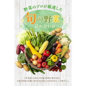 野菜セット おためし 国産野菜セット 野菜詰め...の詳細画像1