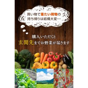 野菜セット おためし 国産野菜セット 野菜詰め...の詳細画像2