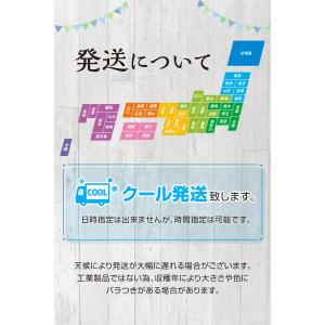 野菜セット おためし 国産野菜セット 野菜詰め...の詳細画像3