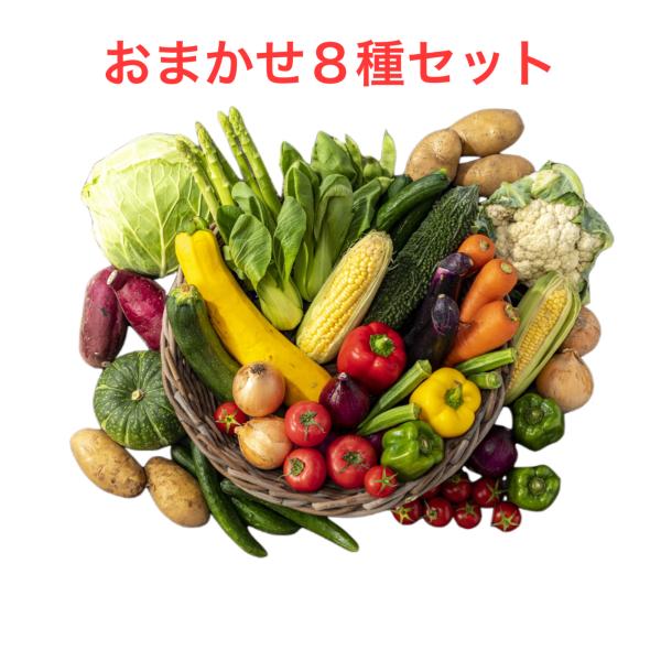 野菜セット おためし 国産野菜セット 野菜詰め合わせ 8種類入り おすすめ 簡単 フードロス 新鮮 ...