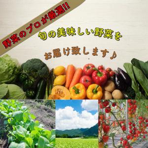 野菜セット おためし 国産野菜セット 野菜詰め...の詳細画像4