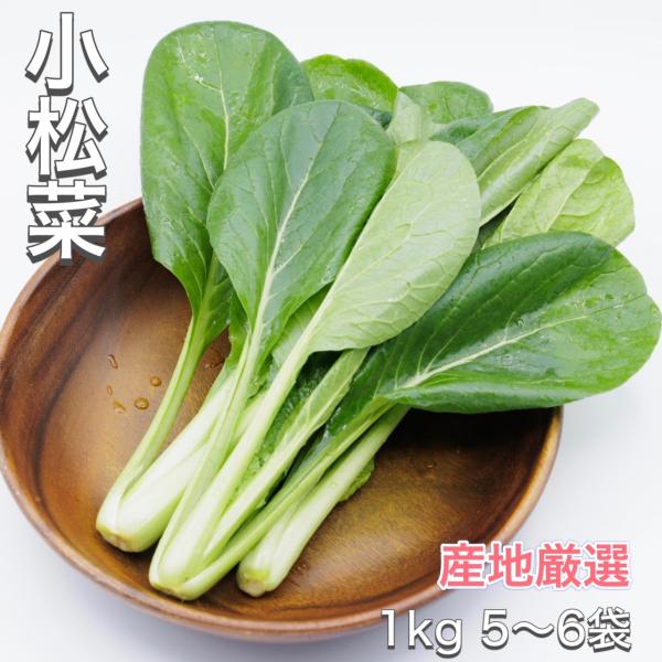 【新商品】小松菜 産地厳選 1kg こまつな コマツナ 野菜  【送料無料（一部地域省く）】