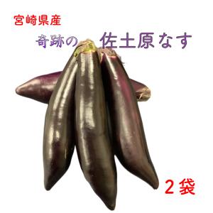 送料無料 冷凍食品 野菜 富士通商 手間なし！加熱いらず乱切り揚げなす