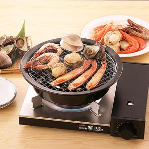 岩谷 イワタニ 網焼きプレート CB-A-AM...の詳細画像1