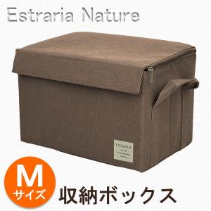 ライゼンタール ストレージボックス 収納ボックス Mサイズ 3個セット 楽天市場】【マラソン期間中 最大P54倍】 ポイント10倍