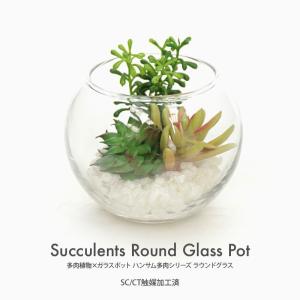 フェイクグリーン 観葉植物 人工観葉 卓上 ミニ 小さい 光触媒 ガラスポットに入った多肉植物 ハンサム多肉シリーズ ラウンドグラス フェイクグリーン