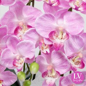 お供え 胡蝶蘭 造花 仏花 フラワーアレンジメ...の詳細画像2