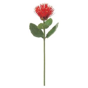 レフア造花の商品一覧 通販 Yahoo ショッピング