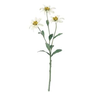 エーデルワイス 花 花束 アレンジメント の商品一覧 造花 アートフラワー 花 ガーデニング 通販 Yahoo ショッピング