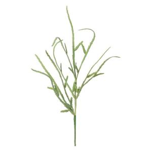 リプサリス 造花 アートフラワー の商品一覧 花 ガーデニング 通販 Yahoo ショッピング
