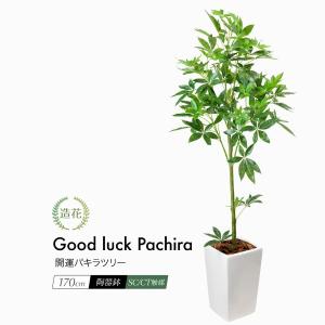 人工観葉植物 フェイクグリーン 観葉植物 パキラ 造花 光触媒 5号 鉢 水やり不要 インテリア お祝い 誕生日 出産内祝い お返し 結婚 父 母 男性 女性 彼氏 彼女 お祝い お礼 贈り物 プレゼント パキラl Grazia 虹八 Kohya人工観葉植物 光触媒 199a150