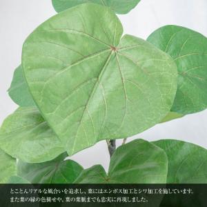 フェイクグリーン ウンベラータ 観葉植物 人工...の詳細画像1