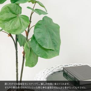 フェイクグリーン ウンベラータ 観葉植物 人工...の詳細画像3
