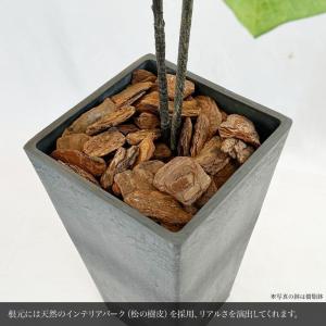 フェイクグリーン ウンベラータ 観葉植物 人工...の詳細画像4