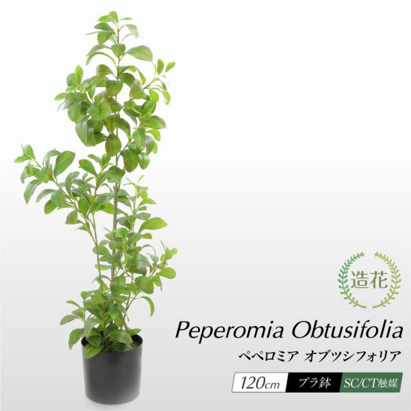 フェイクグリーン アオペペ 観葉植物 人工観葉 大型 光触媒 リアル 造花 鉢植 お祝い  / 開運...