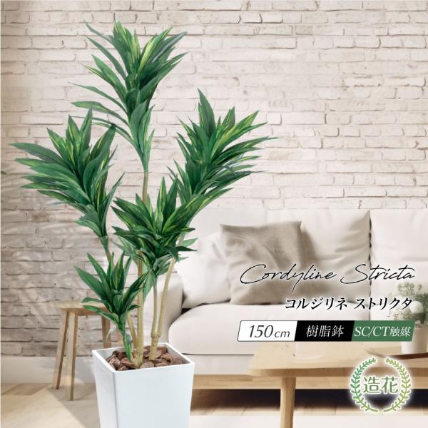 フェイクグリーン 人工観葉植物 大型 光触媒 コルジリネ 鉢植 ユッカ ドラセナ コルディリネ お祝...