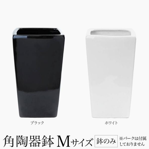 フェイクグリーン ポット 鉢 アークオリジナル 角陶器鉢 Mサイズ(中サイズ) 人工観葉植物 観葉植...