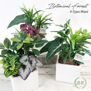 父の日 観葉植物 フェイクグリーン ミニ 小さい 卓上 人工 光触媒 消臭 おしゃれ インテリア / ボタニカルフォレスト