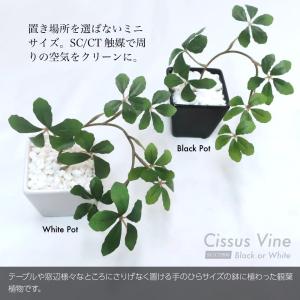 フェイクグリーン 観葉植物 人工観葉 卓上 ミ...の詳細画像1