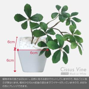 フェイクグリーン 観葉植物 人工観葉 卓上 ミ...の詳細画像2