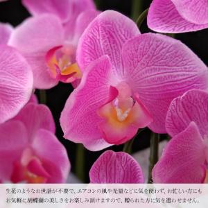 胡蝶蘭 造花 お祝い お供え 光触媒 御祝 御...の詳細画像1