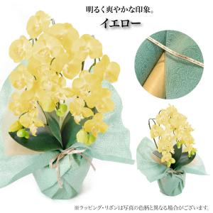 胡蝶蘭 造花 お祝い お供え 光触媒 御祝 御...の詳細画像2