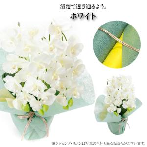 胡蝶蘭 造花 お祝い お供え 光触媒 御祝 御...の詳細画像3