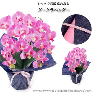 胡蝶蘭 造花 お祝い お供え 光触媒 御祝 御...の詳細画像4