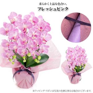 胡蝶蘭 造花 お祝い お供え 光触媒 御祝 御...の詳細画像5