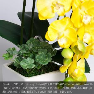 プレゼント 胡蝶蘭 造花 鉢植え ミニ ギフト...の詳細画像2