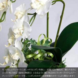 プレゼント 胡蝶蘭 造花 鉢植え ミニ ギフト...の詳細画像3