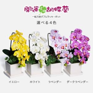 プレゼント 胡蝶蘭 造花 鉢植え ミニ ギフト...の詳細画像5