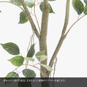 フェイクグリーン 大型 観葉植物 フェイク 人...の詳細画像2