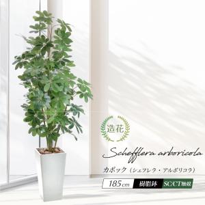 フェイクグリーン 大型 人工 観葉植物 造花 カポック
