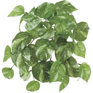 フェイクグリーン 人工 観葉植物 造花 リアルタ...の商品画像