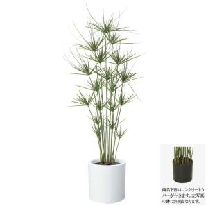 フェイクグリーン キプロスツリー アウトレット品 160cm 観葉植物 造花 大型 Ct触媒 光触媒 G L 人工観葉植物 インテリア