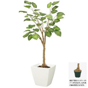 観葉植物 造花 屋外対応 フレッシュウンベラータ 140cm フェイクグリーン 人工観葉植物 Ct触媒 お気に入り G L 大型 インテリア 光触媒