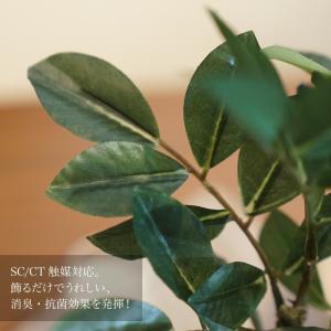 フェイクグリーン ミニ 卓上 人工 観葉植物 ...の詳細画像1