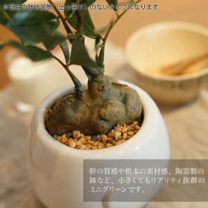 フェイクグリーン ミニ 卓上 人工 観葉植物 ...の詳細画像2