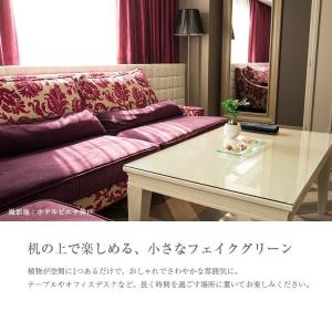 フェイクグリーン ミニ 卓上 人工 観葉植物 ...の詳細画像4