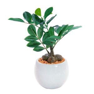 フェイクグリーン ミニ 卓上 人工 観葉植物 ...の詳細画像5
