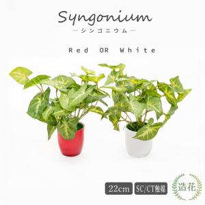 フェイクグリーン 観葉植物 人工観葉 卓上 ミニ 小さい 光触媒 紅白シンゴニウム 18cm 造花 インテリア リアル 消臭 おしゃれ MH-1002 バレンタインデー 母の日