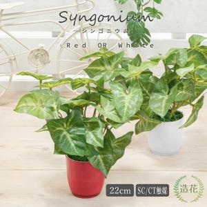 フェイクグリーン 観葉植物 人工観葉 卓上 ミ...の詳細画像1